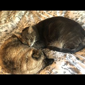 Meet your Posher, Matthew